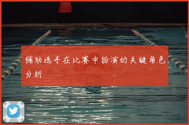 辅助选手在比赛中扮演的关键角色分析