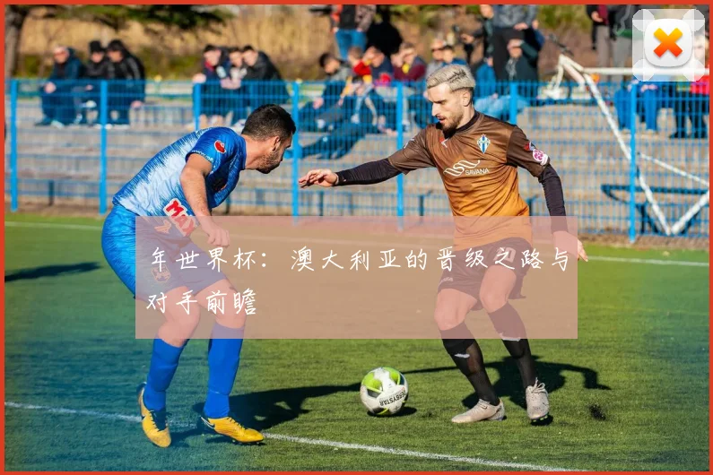年世界杯：澳大利亚的晋级之路与对手前瞻