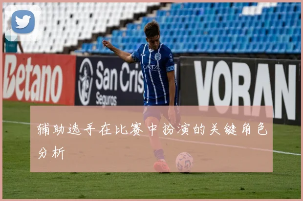辅助选手在比赛中扮演的关键角色分析